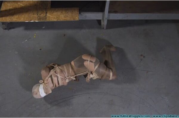 Illustrious Rouge BDSM - Lady Bound with Pantyhose and Pied